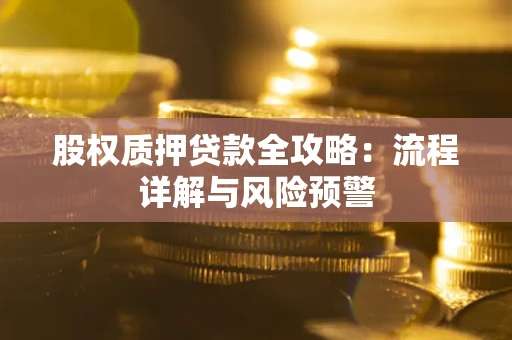 北京股权质押贷款全攻略：流程详解与风险预警