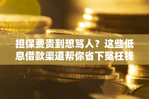 北京担保费贵到想骂人？这些低息借款渠道帮你省下冤枉钱