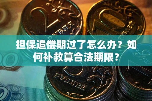 北京担保追偿期过了怎么办？如何补救算合法期限？