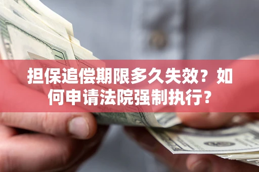 北京担保追偿期限多久失效？如何申请法院强制执行？
