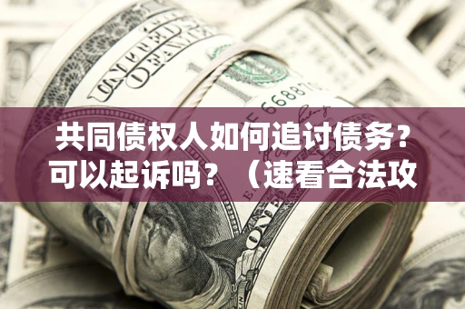 北京共同债权人如何追讨债务？可以起诉吗？（速看合法攻略）